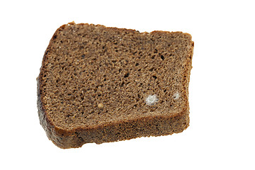 Image showing bread mold. close-up 