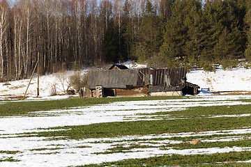 Image showing winter season, the snow  