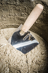 Image showing A bucket with a solution and a trowel, close-up