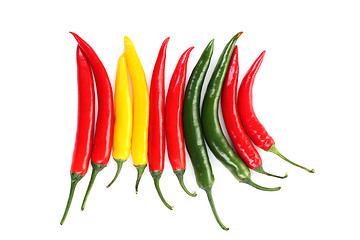 Image showing chili pepper