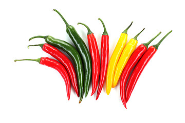 Image showing chili pepper