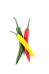 Image showing chili pepper