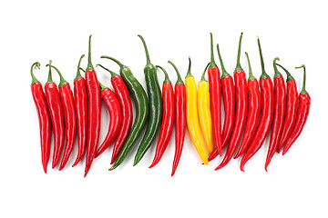 Image showing chili pepper