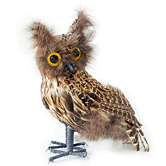Image showing Staffed owl
