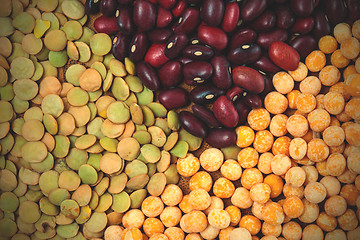 Image showing bean, lentil and pea background