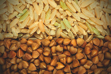 Image showing buckwheat and rice background