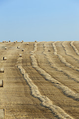 Image showing haystacks in a field of straw  