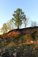 Image showing spring season Photo 