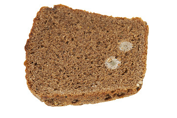 Image showing mold on bread  