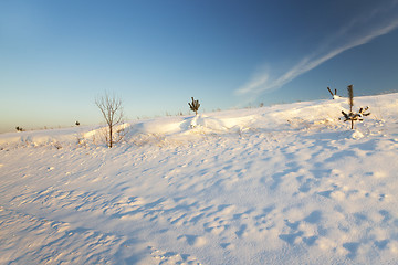 Image showing snow covered field  