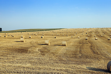 Image showing Field after harvest  