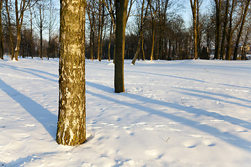 Image showing winter season, the snow 