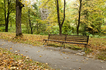 Image showing autumn forest , close up