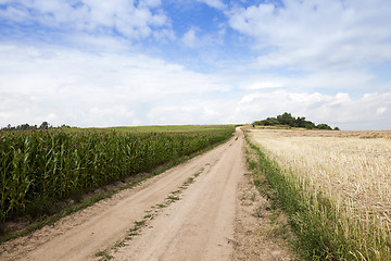 Image showing road in a field  