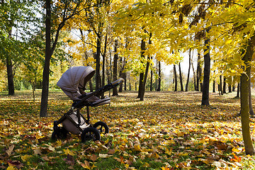 Image showing pushchair ,  autumn season.