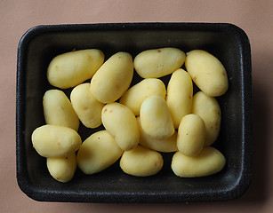 Image showing Potato vegetables in a tub