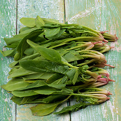 Image showing Raw Spinach Leafs