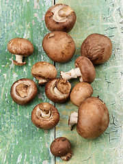Image showing Fresh Portabello Mushrooms