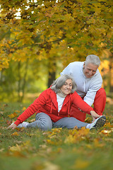 Image showing fit senior couple exercising