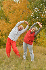 Image showing fit senior couple exercising