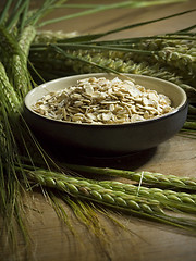 Image showing oatmeal