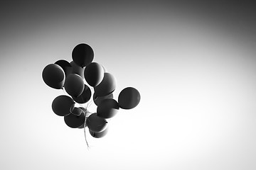 Image showing Balloons in air black and white