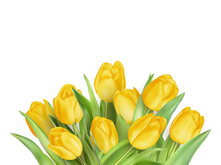 Image showing Yellow Tulips Flowers. EPS 10