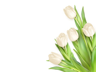 Image showing Tulips decorative background. EPS 10