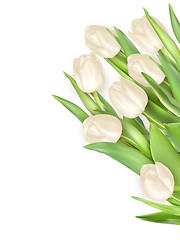 Image showing Tulips decorative background. EPS 10