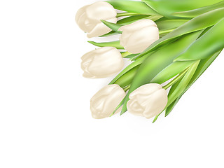 Image showing Tulips decorative background. EPS 10