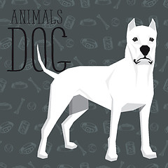 Image showing Vector Dogs Collection