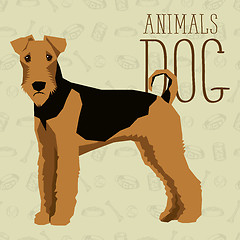 Image showing Vector Dogs Collection