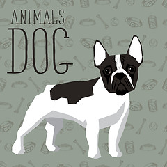 Image showing Vector Dogs Collection