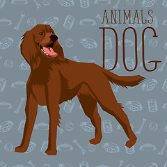 Image showing Vector Dogs Collection