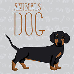 Image showing Vector Dogs Collection