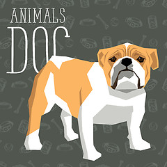 Image showing Vector Dogs Collection