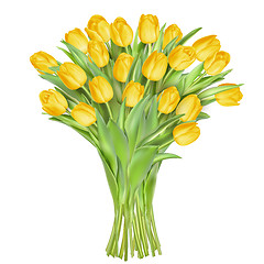 Image showing Tulips on white background. EPS 10