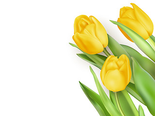 Image showing Yellow Tulips Flowers. EPS 10