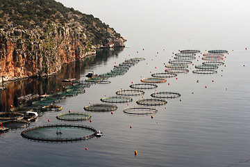 Image showing fishfarm plant