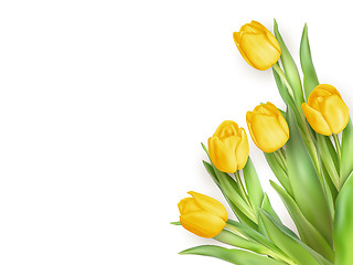 Image showing Yellow Tulips Flowers. EPS 10