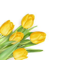 Image showing Tulip flowers as a holiday postcard. EPS 10