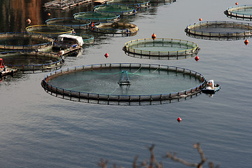 Image showing fishing industry