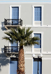 Image showing palm and style