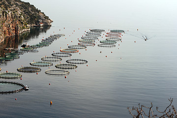 Image showing fish farm