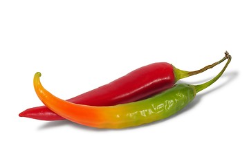 Image showing Chili Pepper