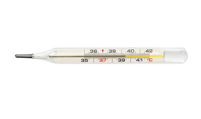 Image showing Medical thermometer