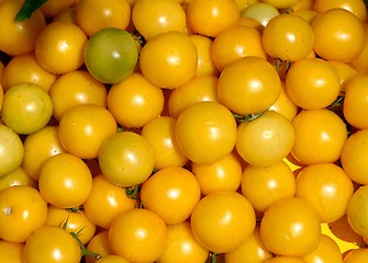 Image showing tomatoes background