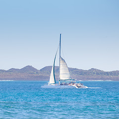 Image showing Catamarans cruising the blue sea.