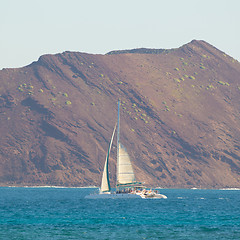 Image showing Catamarans cruising the blue sea.