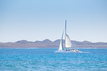 Image showing Catamarans cruising the blue sea.